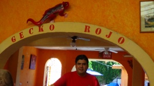 JC Gecko Rojo